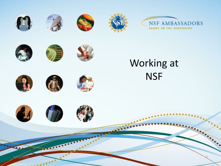 working at nsf n.w