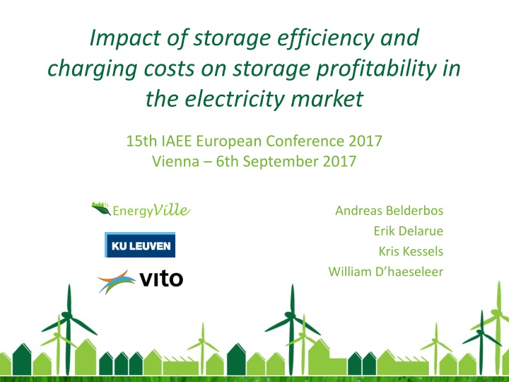 Impact of Storage Efficiency and Charging Costs on Electricity Market Profitability