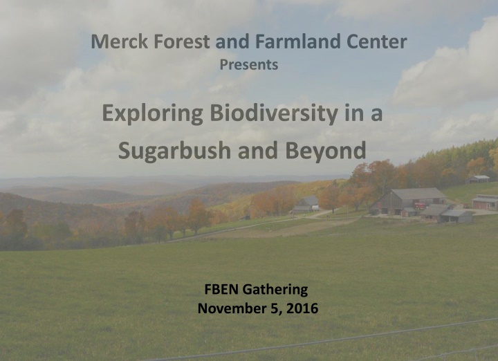 Biodiversity in a Sugarbush and Beyond