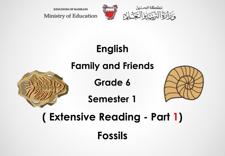 Fossils: Extensive Reading for Grade 6
