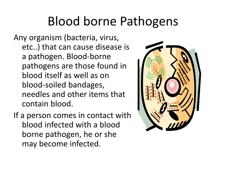 blood borne pathogens n.w