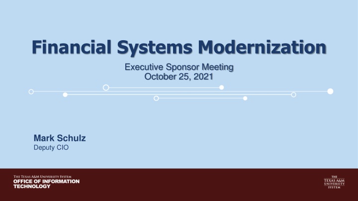 financial systems modernization executive sponsor n.w