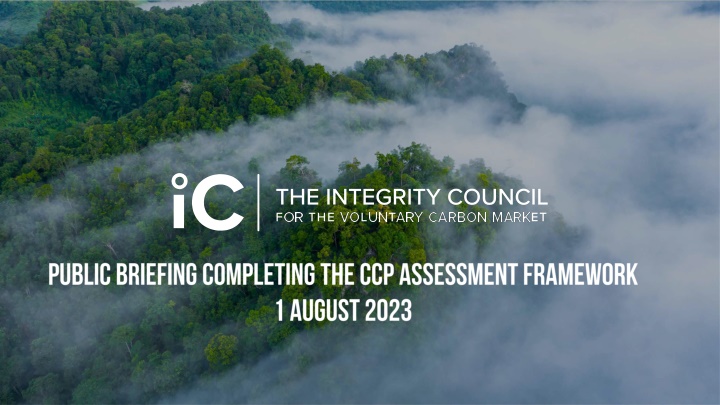 Ensuring Integrity in the Voluntary Carbon Market for a Just Transition