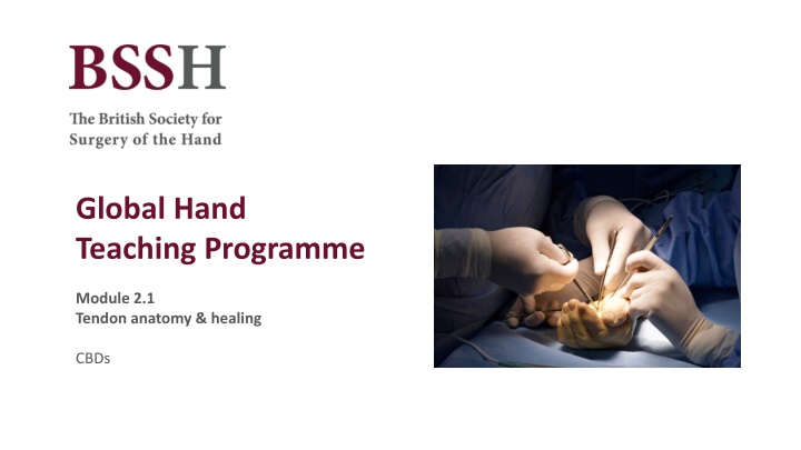 global hand teaching programme n.w