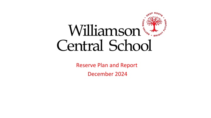 reserve plan and report december 2024 n.w