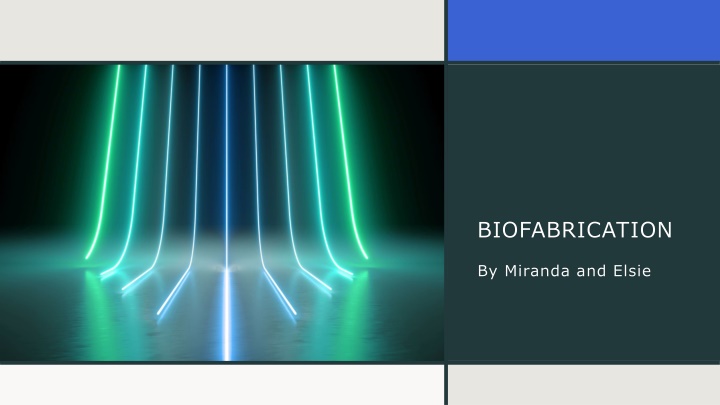 biofabrication n.w