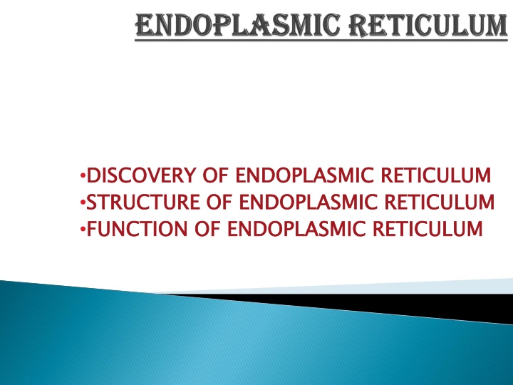 discovery of endoplasmic reticulum structure n.w