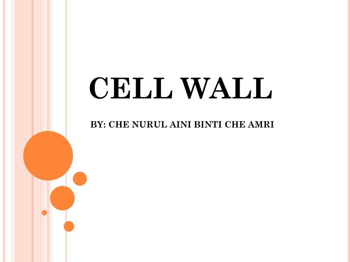 cell wall n.w