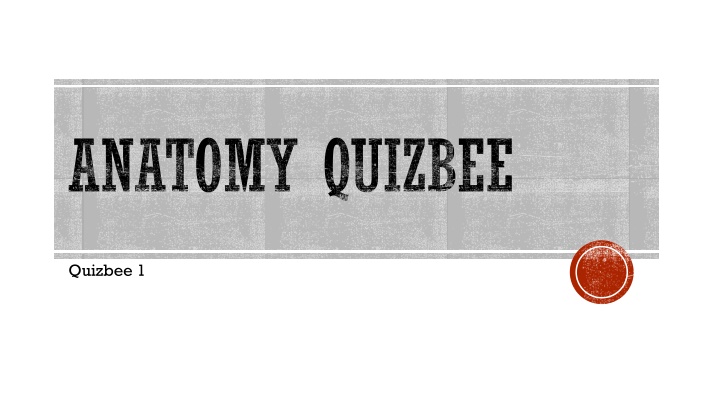 anatomy quizbee n.w