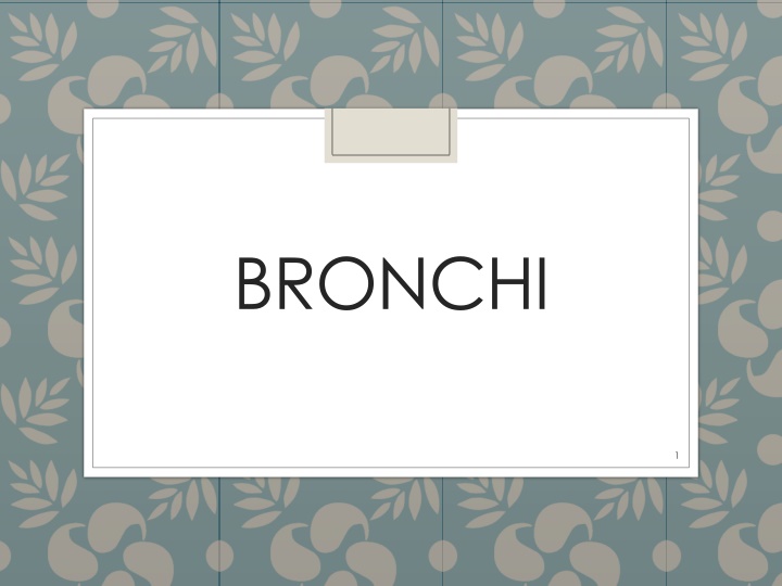 bronchi n.w
