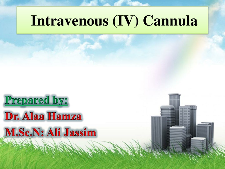 intravenous iv cannula n.w