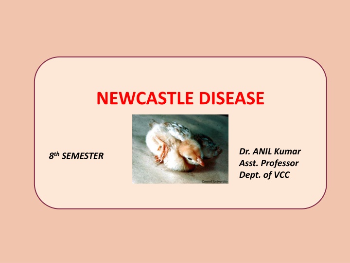 newcastle disease n.w