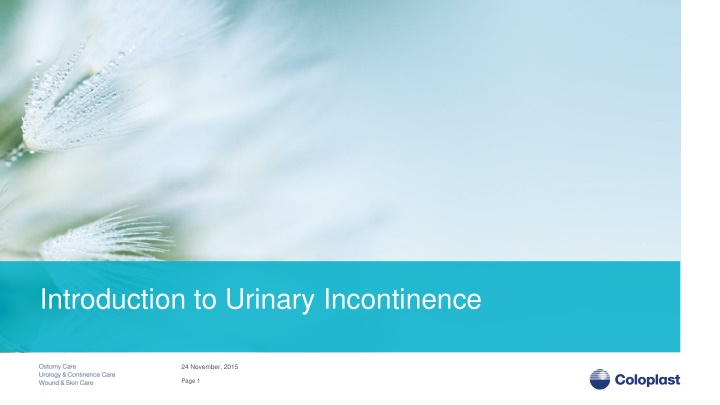 introduction to urinary incontinence n.w