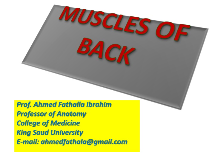 prof ahmed fathalla ibrahim professor of anatomy n.w