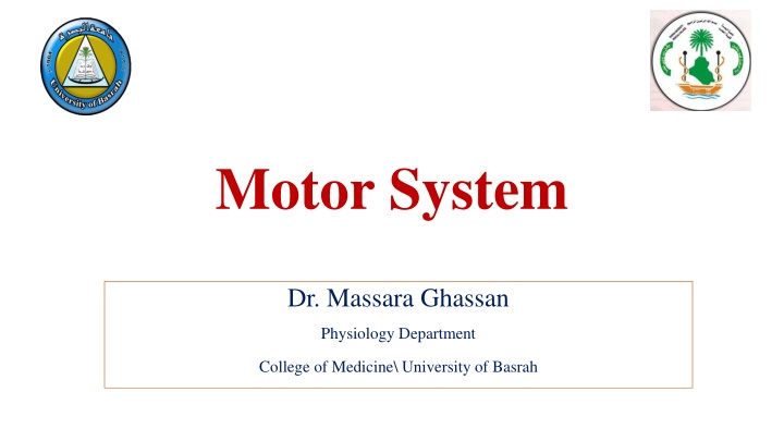 motor system n.w