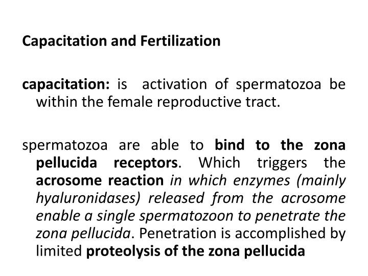 capacitation and fertilization n.w