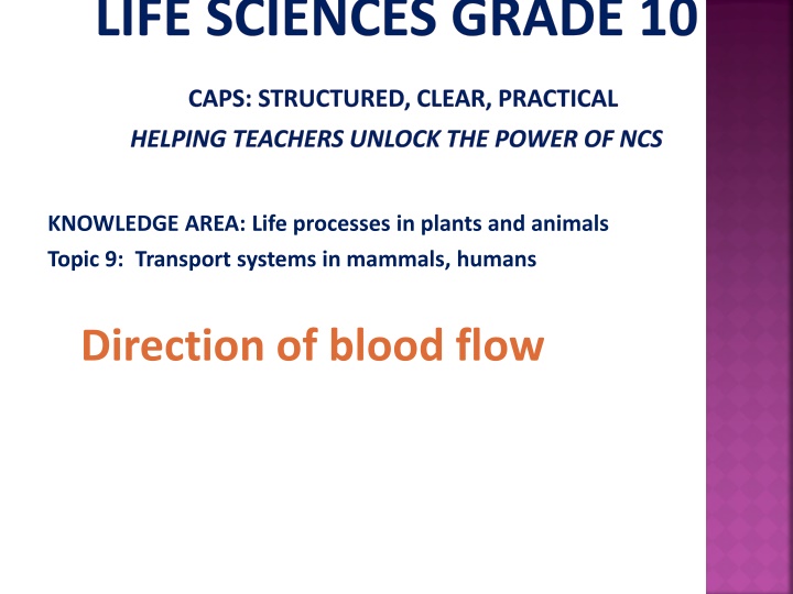 life sciences grade 10 n.w