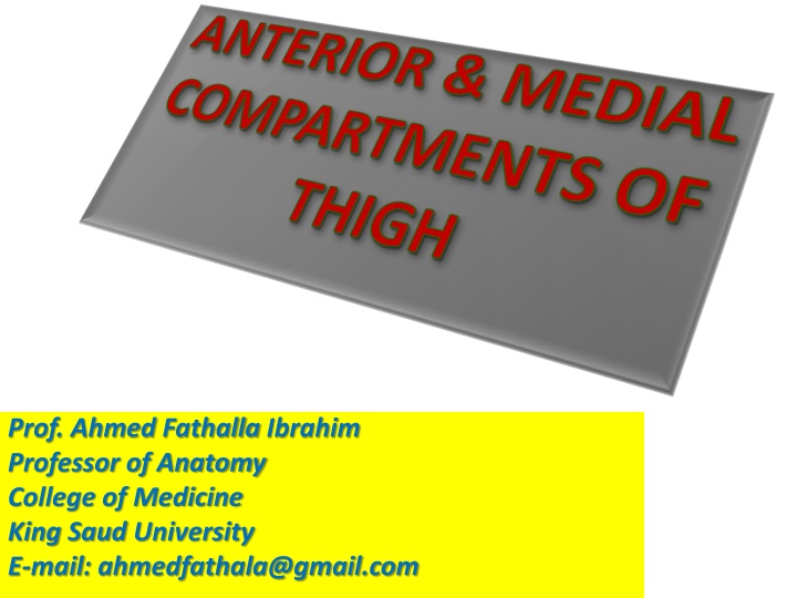 prof ahmed fathalla ibrahim professor of anatomy n.w
