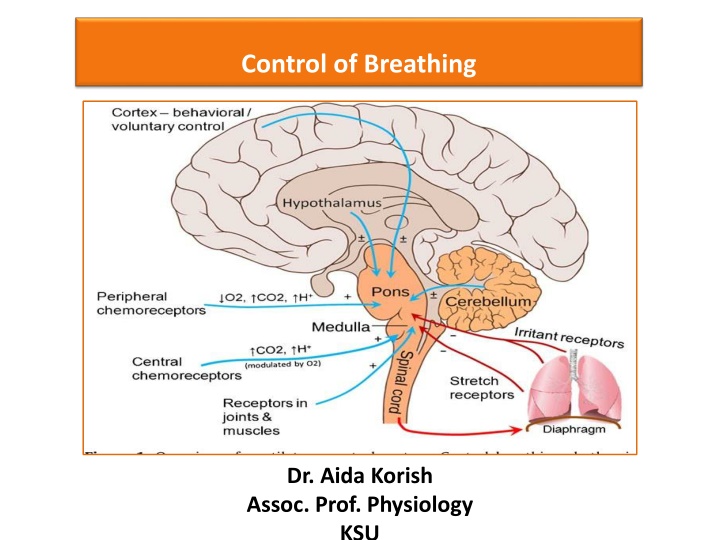 control of breathing n.w