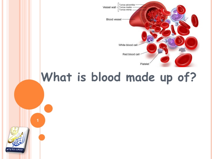 what is blood made up of n.w
