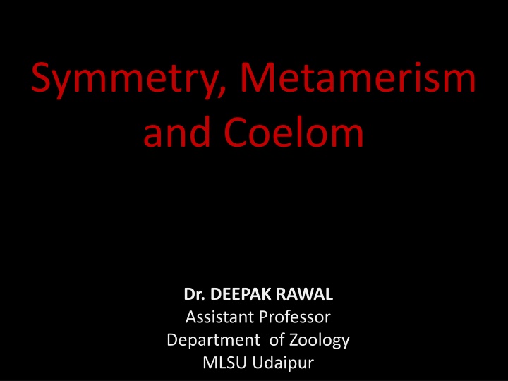 symmetry metamerism and coelom n.w