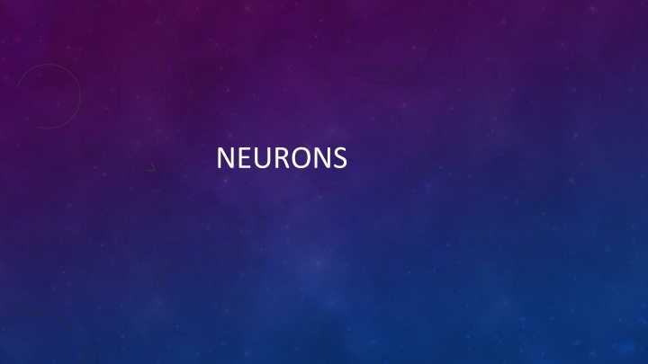 neurons n.w