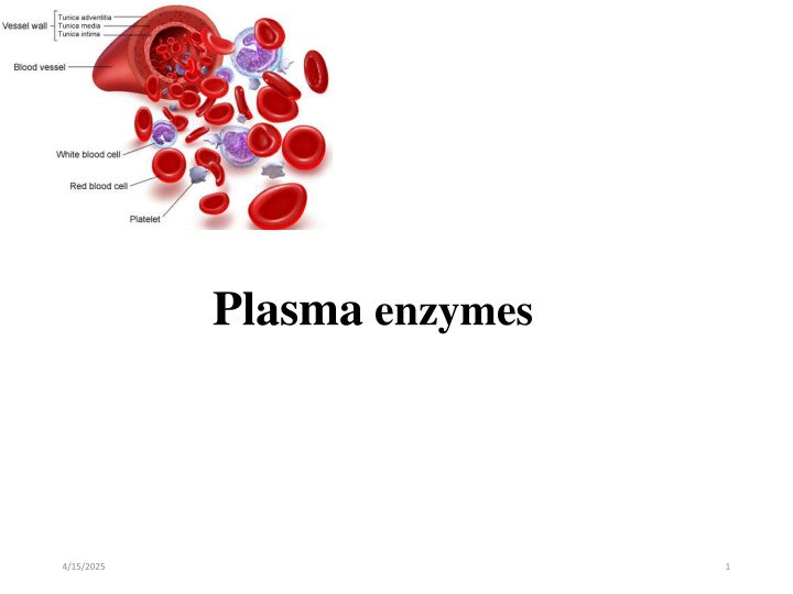 plasma enzymes n.w