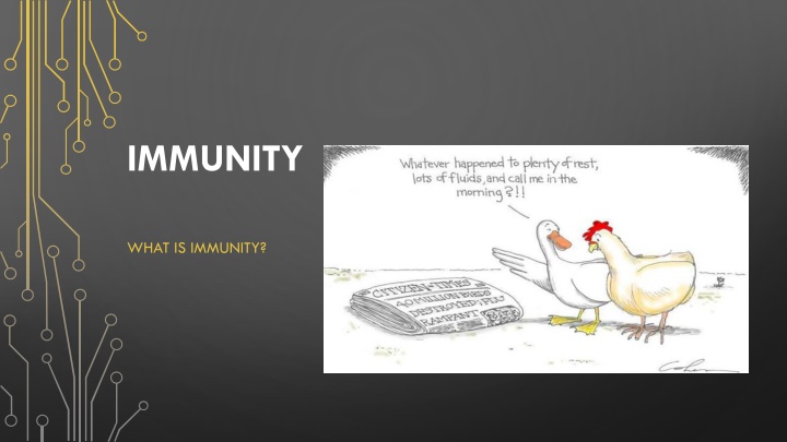 immunity n.w