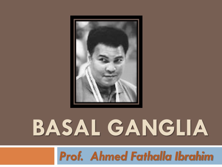 basal ganglia n.w