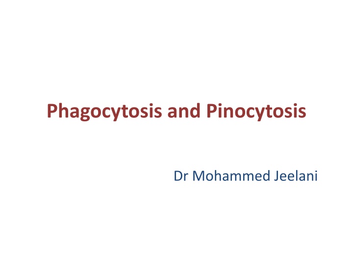 phagocytosis and pinocytosis n.w