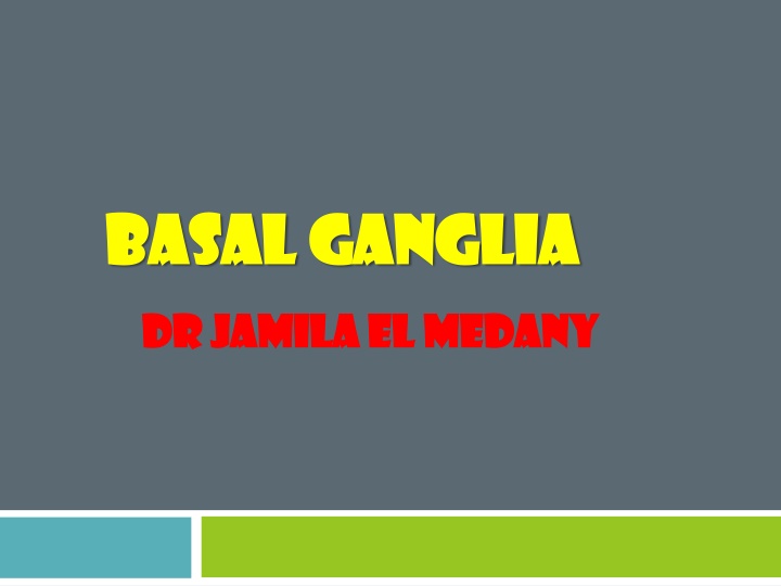 basal ganglia basal ganglia n.w
