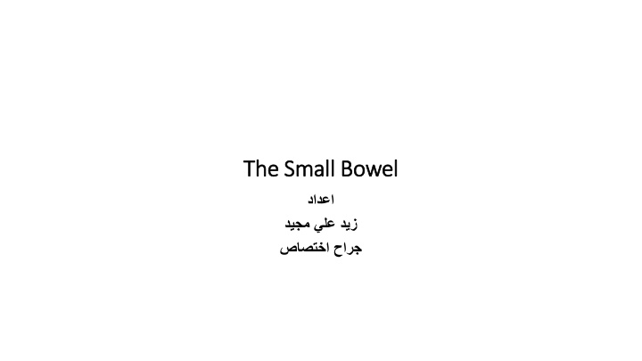 The Small Bowel Anatomy and Function