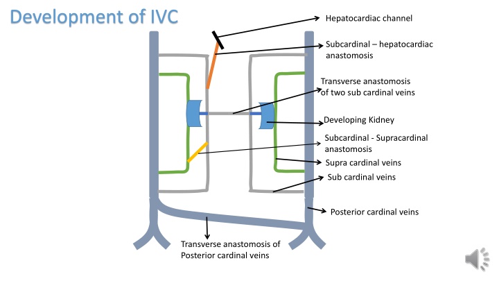 development of ivc n.w