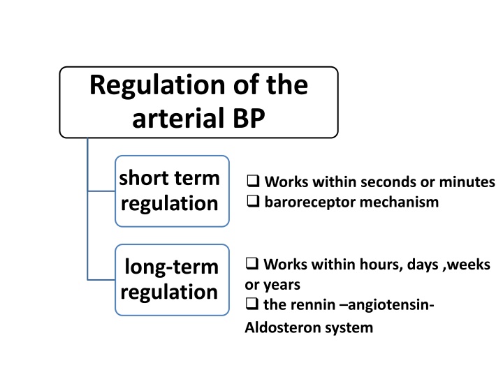 regulation of the arterial bp n.w