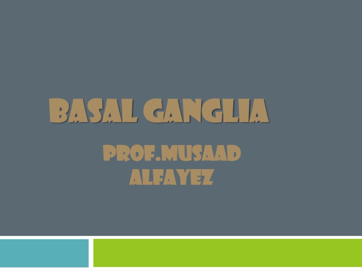 basal ganglia basal ganglia n.w