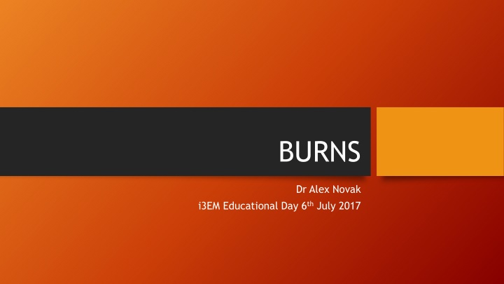 burns n.w