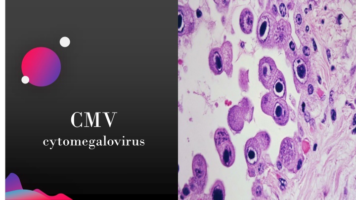 slide1 n.w