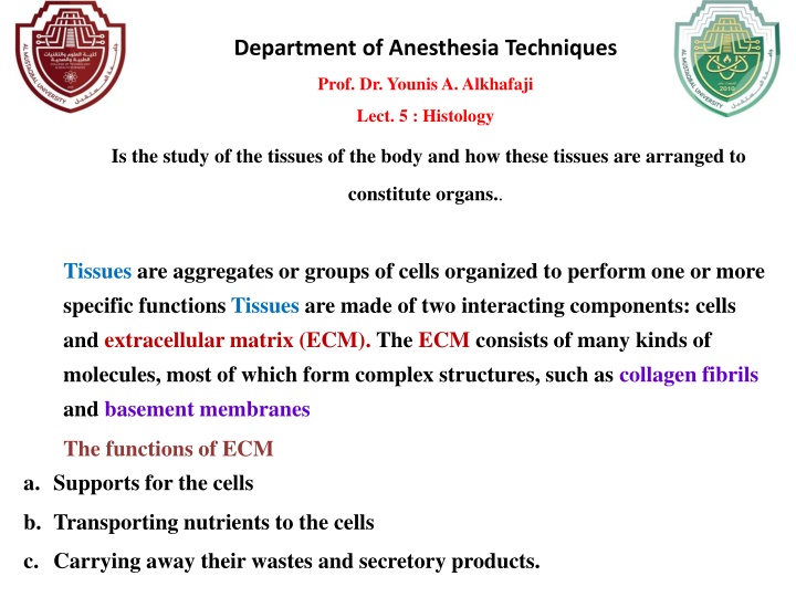 department of anesthesia techniques n.w