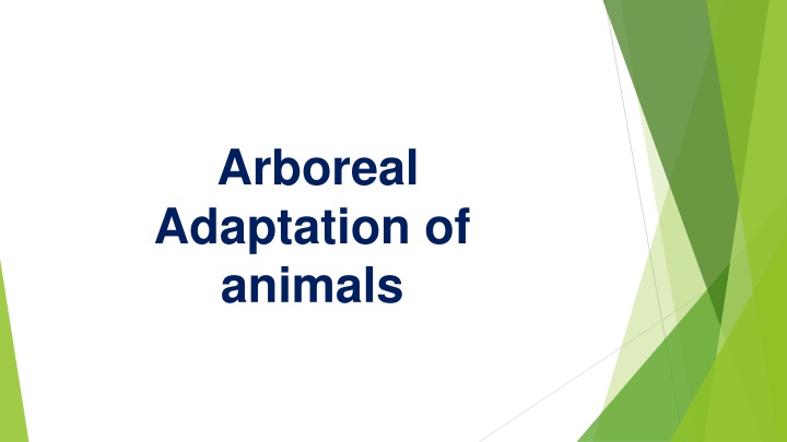 arboreal adaptation of animals n.w