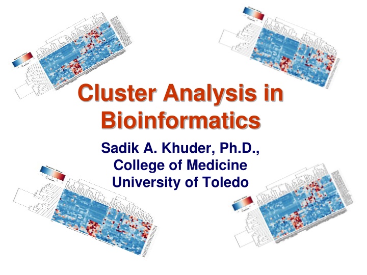 cluster analysis in bioinformatics sadik a khuder n.w