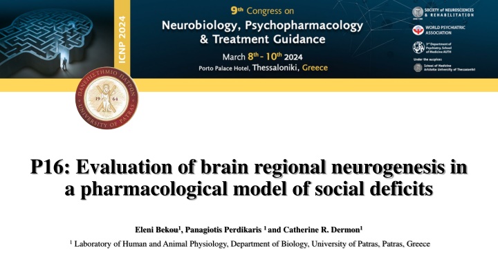 p16 evaluation of brain regional neurogenesis n.w