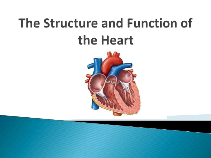 slide1 n.w