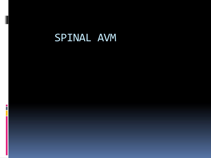 spinal avm n.w