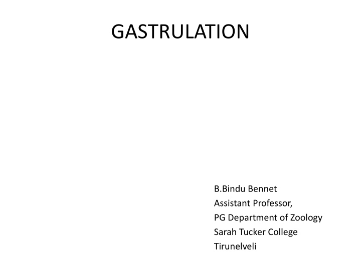 gastrulation n.w