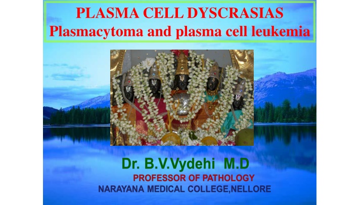 plasma cell dyscrasias plasmacytoma and plasma n.w