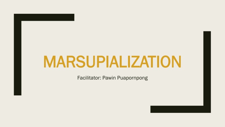 marsupialization marsupialization n.w