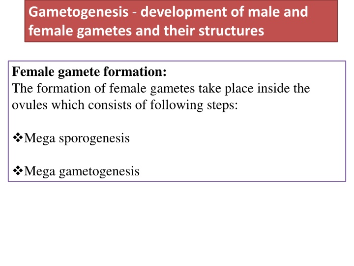 gametogenesis development of male and female n.w