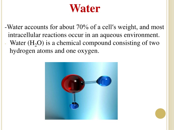 water n.w