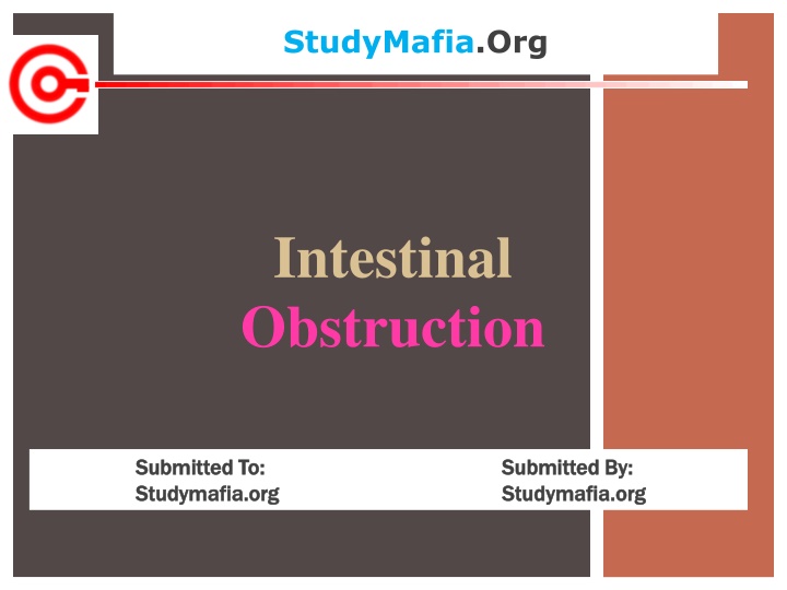 studymafia org n.w