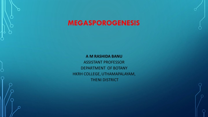 megasporogenesis n.w